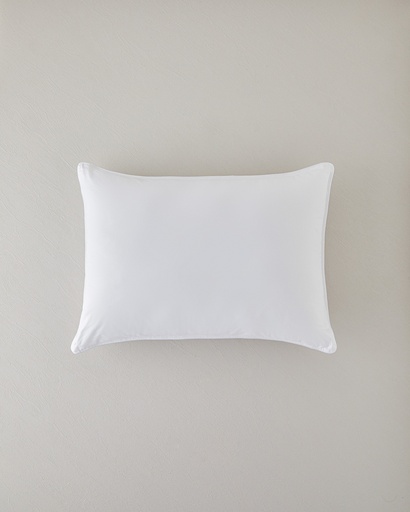 [10013845001] Winter Pillow Timeless