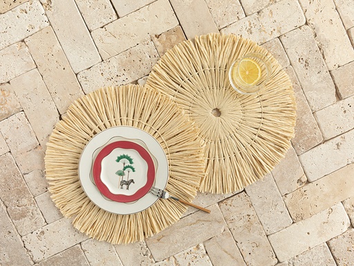 [10037943001] Alero Place Mat Exotic Wandering